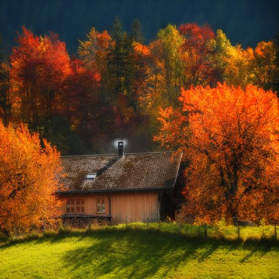 Premium Photographic Print, , large