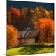Premium Photographic Print