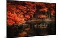 Photographic Print