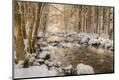 Photographic Print