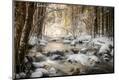 Premium Photographic Print