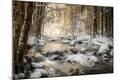 Photographic Print