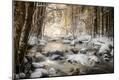 Photographic Print