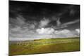 Photographic Print