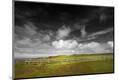Photographic Print