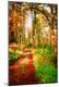 Photographic Print