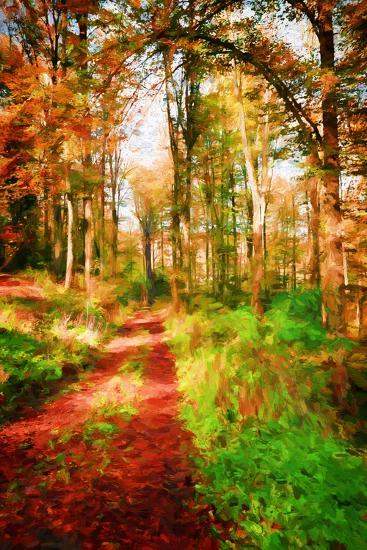 Photographic Print, , large