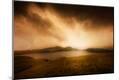Photographic Print