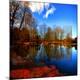 Photographic Print