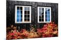 Premium Photographic Print