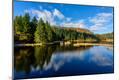 Photographic Print