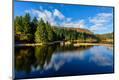 Photographic Print