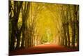 Photographic Print