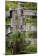 Premium Photographic Print