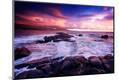 Photographic Print