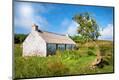 Photographic Print