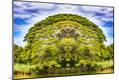 Photographic Print