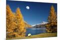 Photographic Print