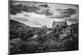 Photographic Print