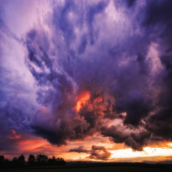 Premium Photographic Print, , large