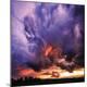 Premium Photographic Print