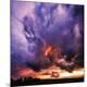 Premium Photographic Print