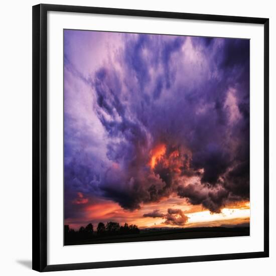 Photographic Print, , large