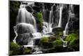 Photographic Print