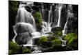 Photographic Print