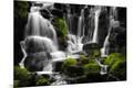 Photographic Print