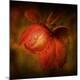 Premium Photographic Print