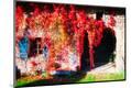 Premium Photographic Print
