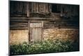 Photographic Print