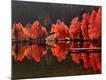 Premium Photographic Print