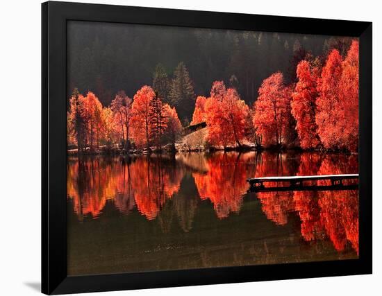 Photographic Print, , large