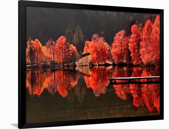 Photographic Print, , large