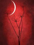 Dialogue with the moon-Philippe Sainte-Laudy-Photographic Print