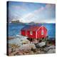 Stretched Canvas Print