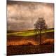 Premium Photographic Print