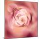 Premium Photographic Print