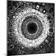 Premium Photographic Print