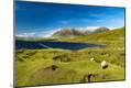 Photographic Print