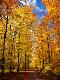 Premium Photographic Print