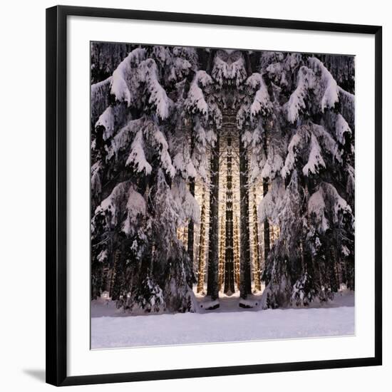 Photographic Print, , large