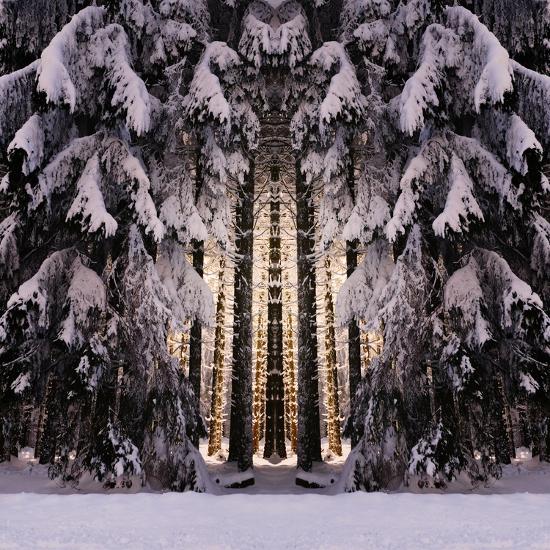 Photographic Print, , large