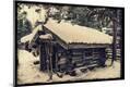 Photographic Print