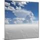 Premium Photographic Print