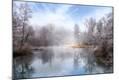 Photographic Print