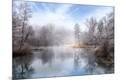 Premium Photographic Print