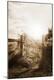 Premium Photographic Print
